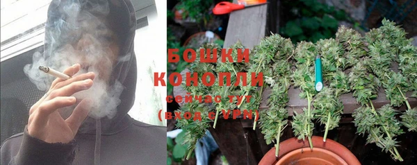 mix Богородицк