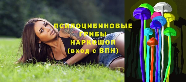 mix Богородицк